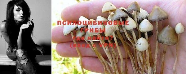 сатива Богородск
