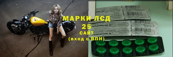 ПСИЛОЦИБИНОВЫЕ ГРИБЫ Богданович