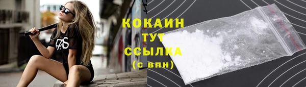 ПСИЛОЦИБИНОВЫЕ ГРИБЫ Богданович