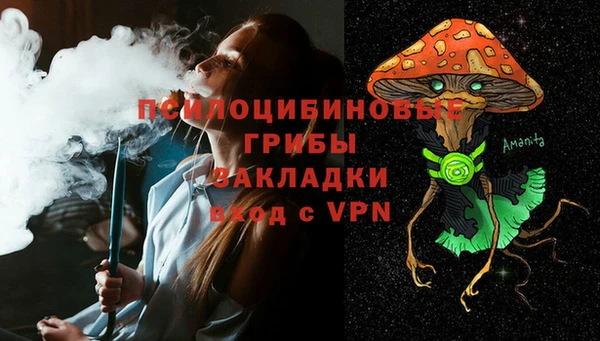 меф Богородицк