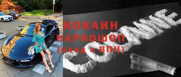 ПСИЛОЦИБИНОВЫЕ ГРИБЫ Богданович