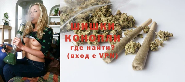 ПСИЛОЦИБИНОВЫЕ ГРИБЫ Богданович