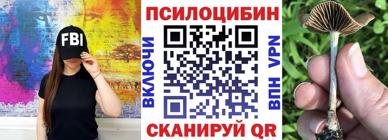 Псилоцибиновые грибы Psilocybine cubensis  продажа наркотиков  Белая Холуница 